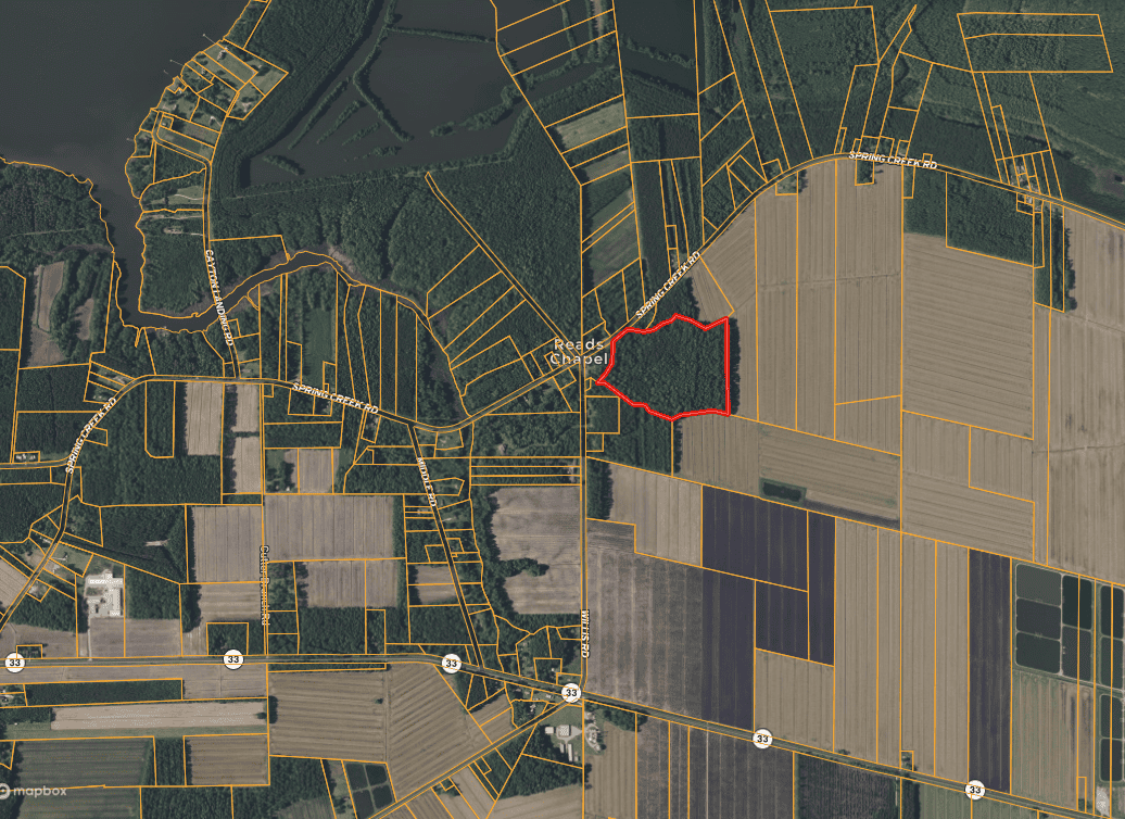 30 Acres Timberland for Sale Near Aurora, NC